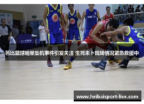 芭比篮球明星坠机事件引发关注 生死未卜现场情况紧急救援中