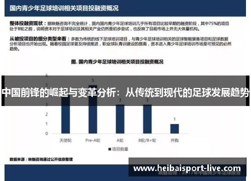 中国前锋的崛起与变革分析：从传统到现代的足球发展趋势