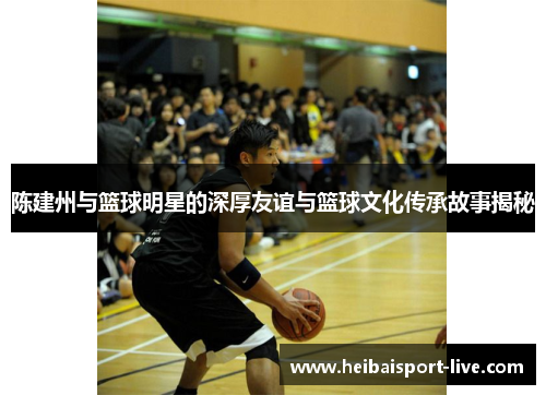 陈建州与篮球明星的深厚友谊与篮球文化传承故事揭秘